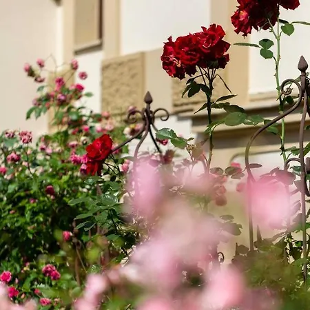 Fantasia Budget Boutique Hotel Fussen